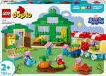 LEGO De tuin en kas van Opa Big (10461)